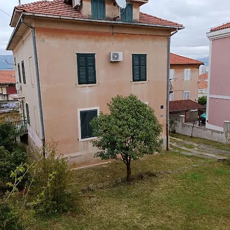 Marjan Nest ספליט